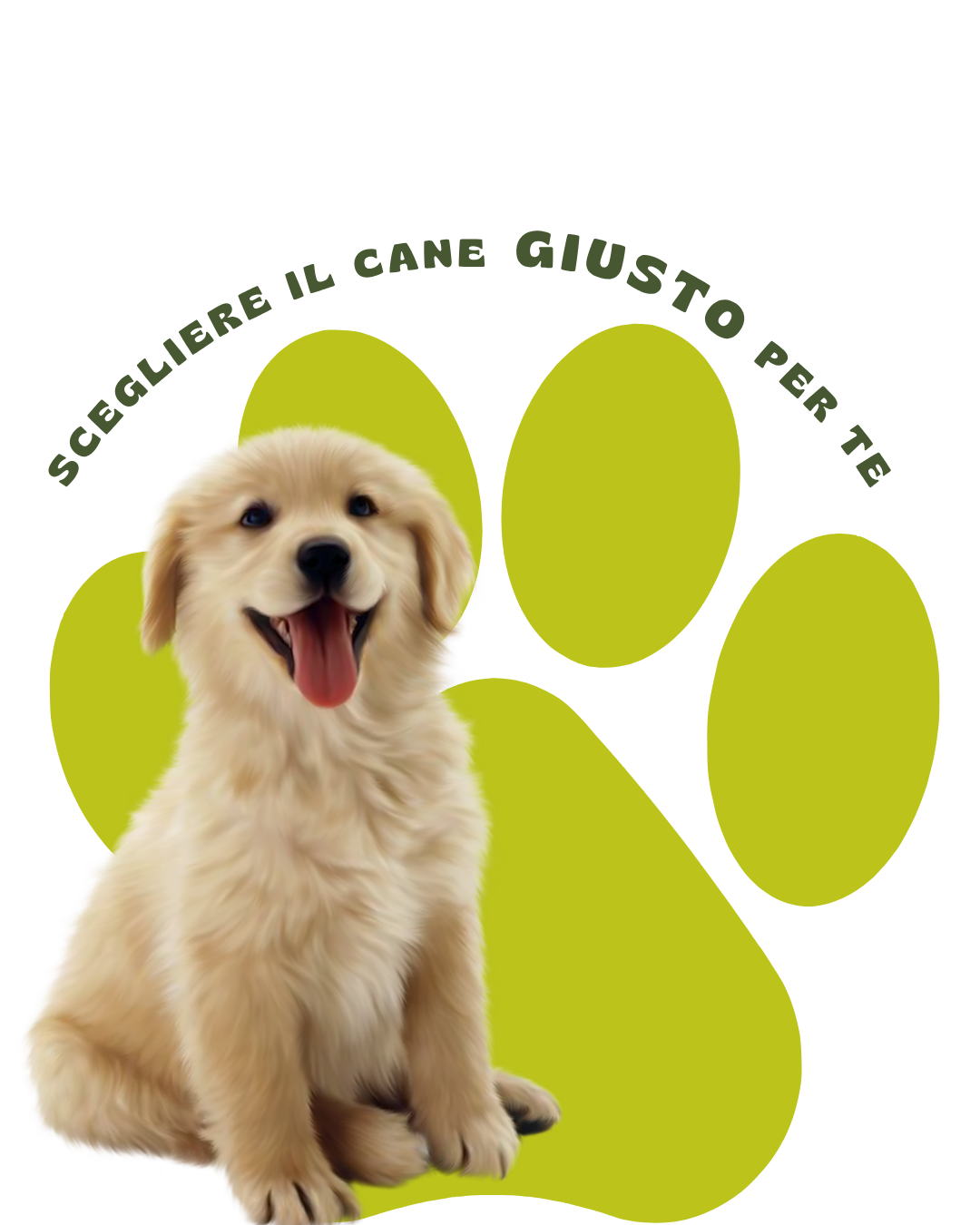 Consulenza per adozione