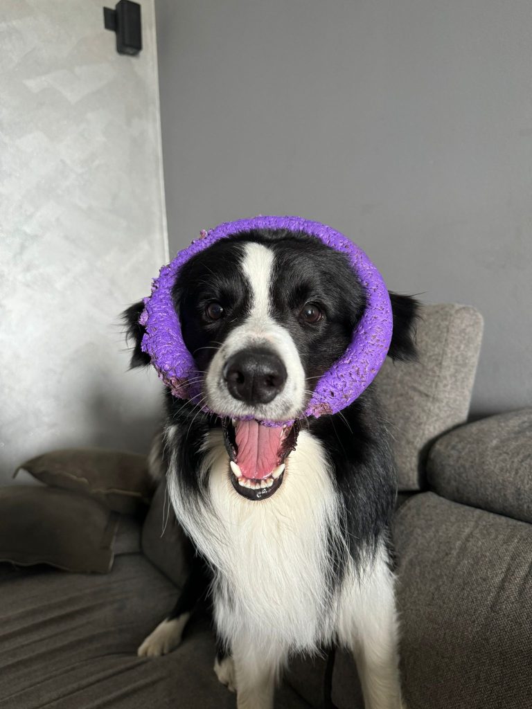 Cane 6