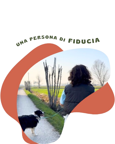 Dog sitting